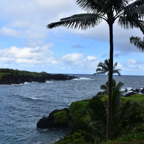 ๐Hi! I'm Denise Michelle. Welcome to My Closet๐ - Picture 13 of 13